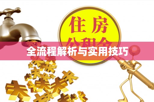 关西全流程解析与实用技巧